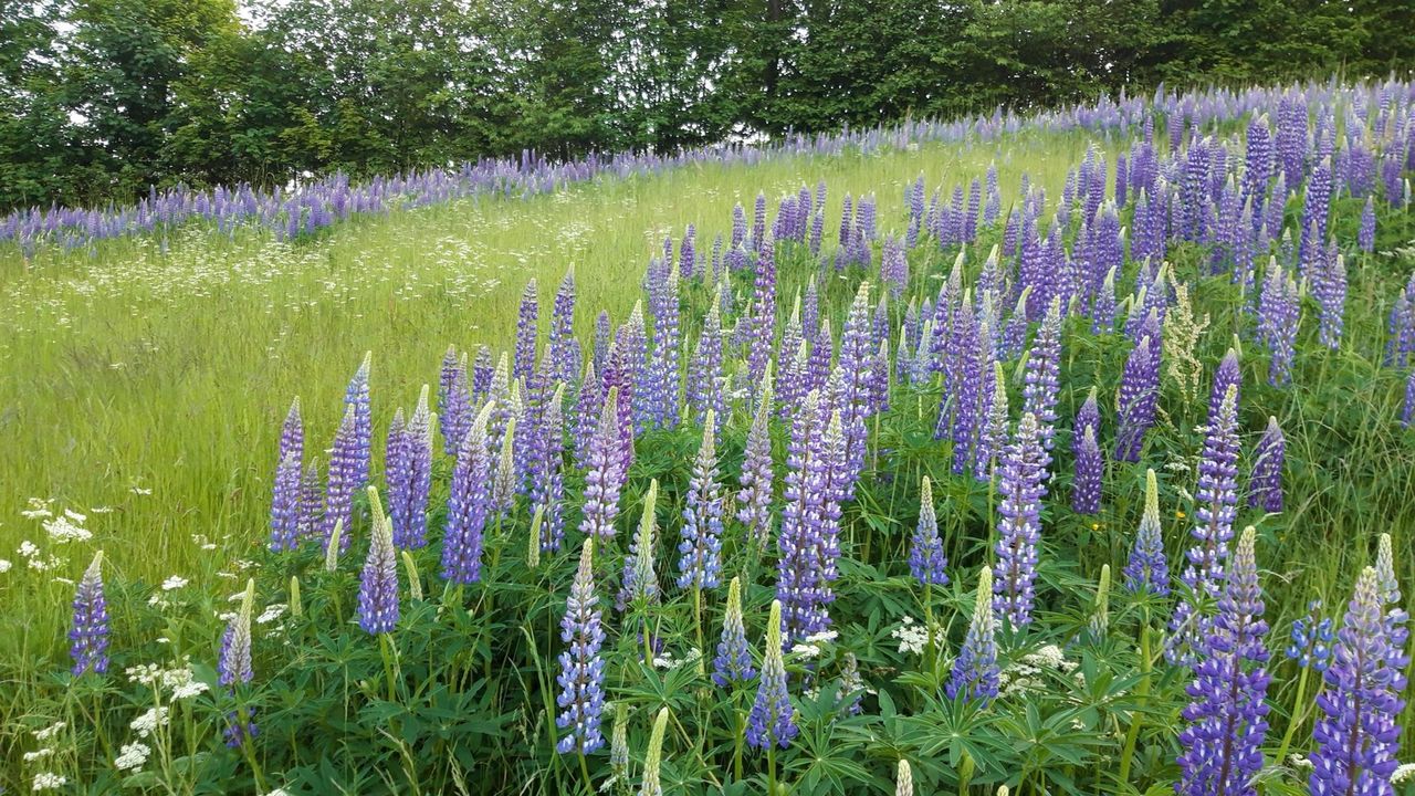 20210611_202136_resized 20210611_202136_resized